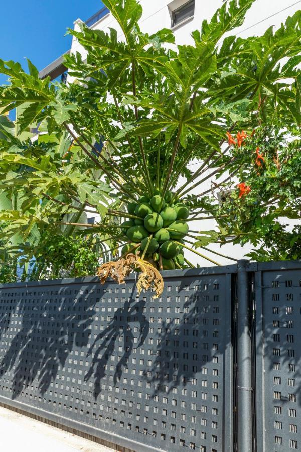 אל מדאנו Medano4You The Strelitzia Terrace מראה חיצוני תמונה